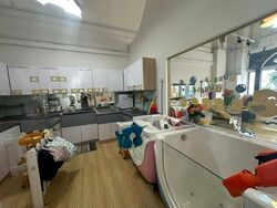 Primz Bizhub (D25), Factory #639399851